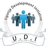 UDI-logo